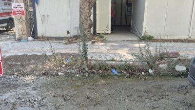 Uluslararası Gazeteciler Cemiyeti Başkanı gazeteci Suna Zeytun, Defne’nin Turunçlu Mahallesi’ndeki