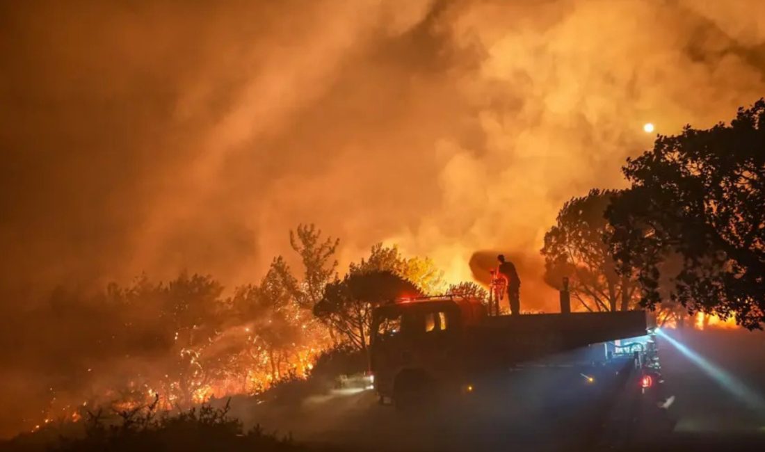 Muğla, Antalya, Aydın, Balıkesir ve Mersin'de meydana gelen orman yangınlarının