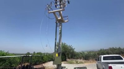 Hatay’ın Erzin ilçesinde narenciye üreticilerini mağdur eden hırsızlık olayı yaşandı.