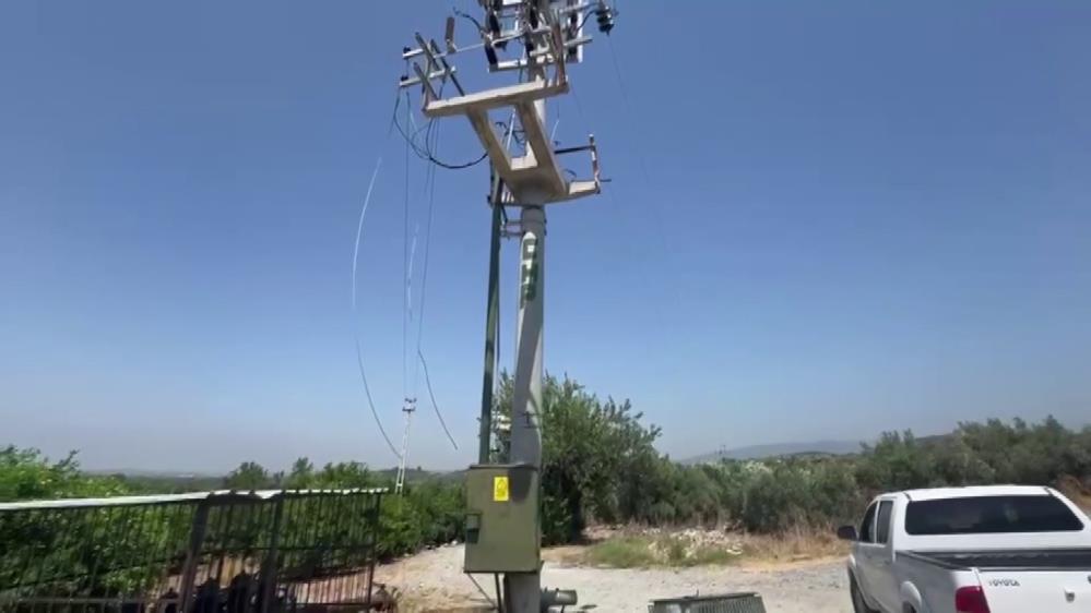 Hatay’ın Erzin ilçesinde narenciye üreticilerini mağdur eden hırsızlık olayı yaşandı.