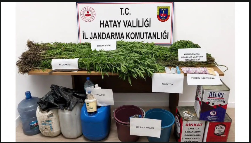 Hatay'ın Dörtyol ilçesinde İl Jandarma Komutanlığı ekiplerinin gerçekleştirdiği operasyonda, 144