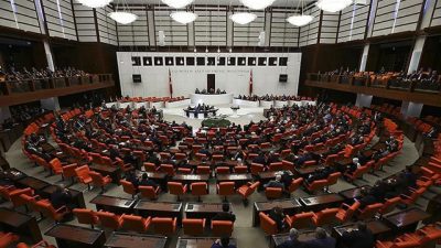 Milli Dayanışma ve Toplumsal Bütünleşmenin Güçlendirilmesine Dair Kanun Teklifi, Türkiye