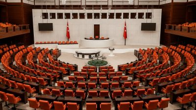 Türkiye Büyük Millet Meclisi (TBMM) Genel Kurulu, 28. Dönem 4.