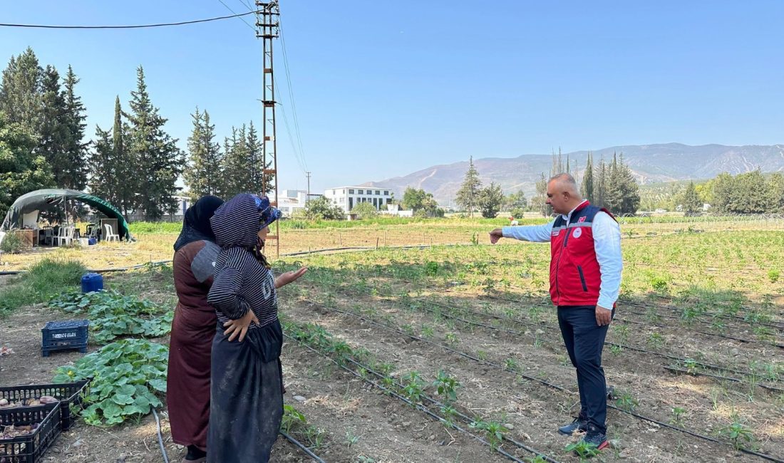 Hatay İl Tarım ve Orman Müdürü Abdurrahman Türkmen, Antakya’da kabak,