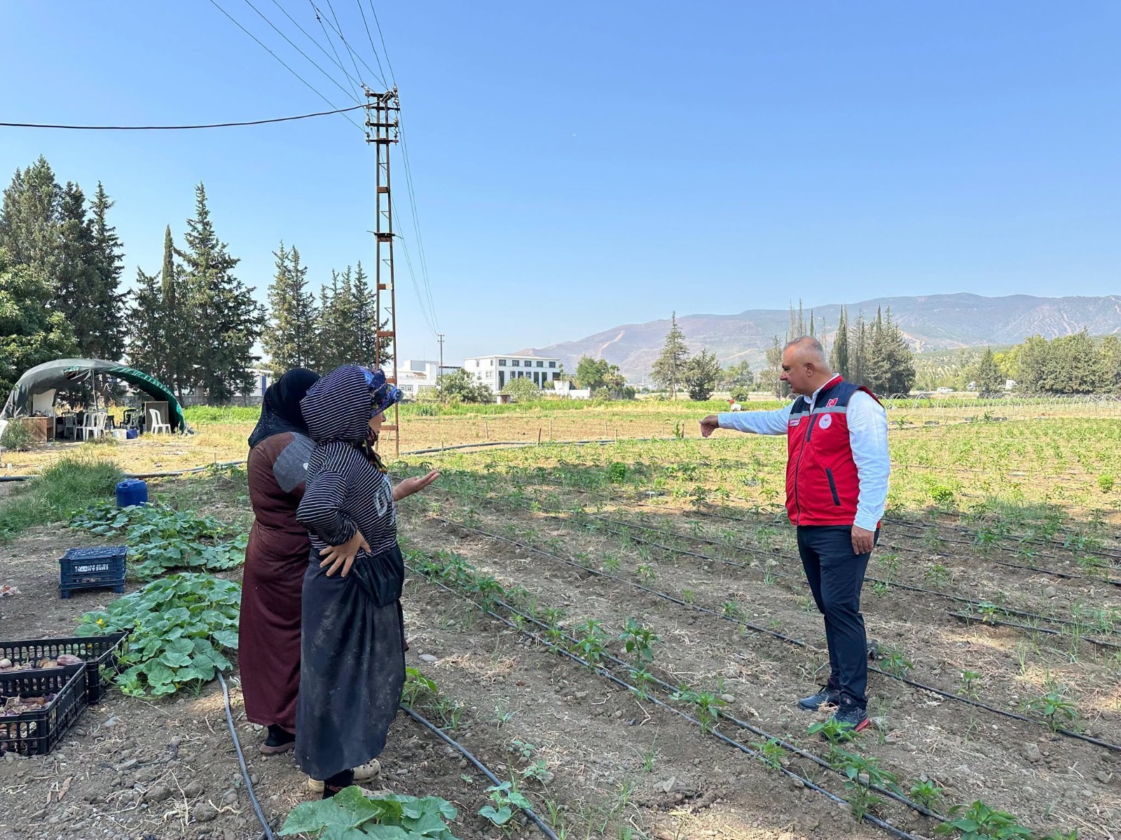 Hatay İl Tarım ve Orman Müdürü Abdurrahman Türkmen, Antakya’da kabak,