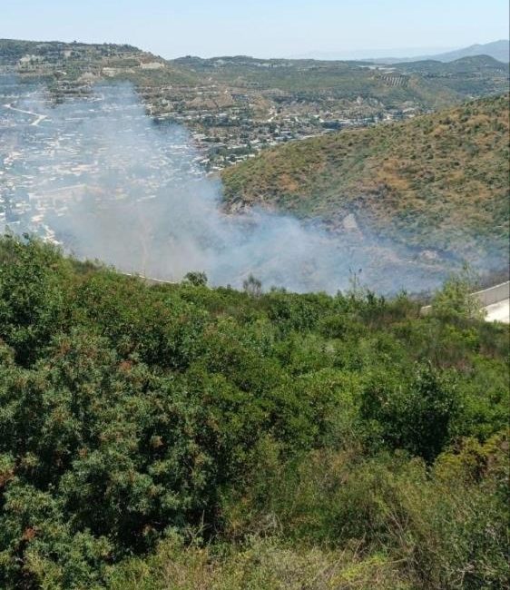 Hatay’ın Yayladağı ilçesinde Suriye tarafından gelen alevlerin neden olduğu orman