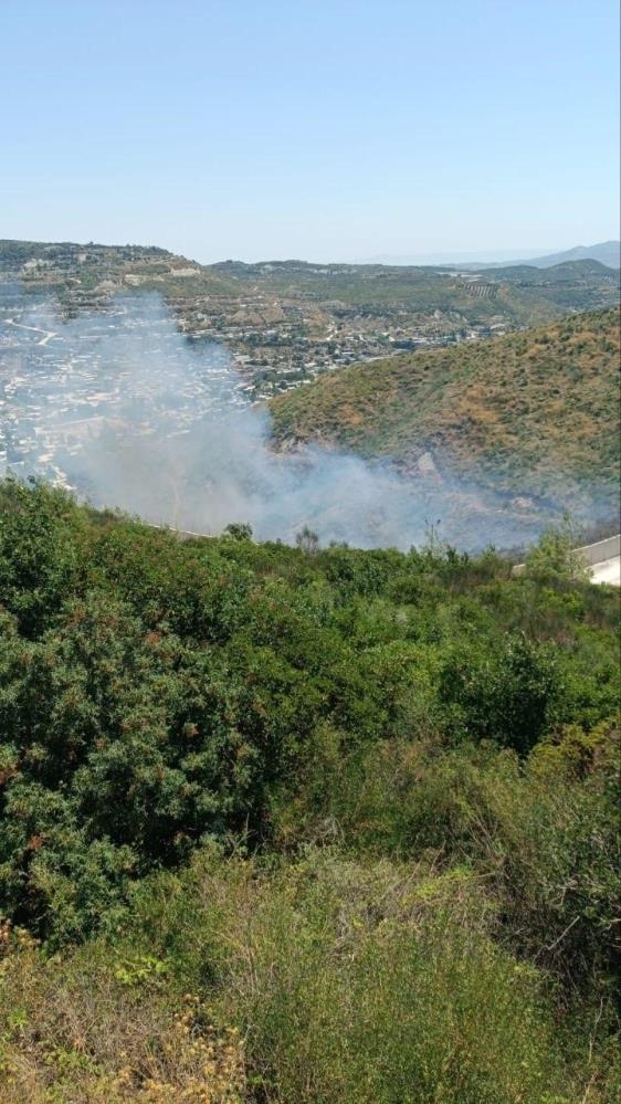 Hatay’ın Yayladağı ilçesinde Suriye tarafından gelen alevlerin neden olduğu orman