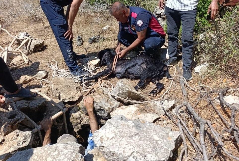 
Hatay’ın Yayladağı ilçesinde kullanılmayan su kuyusuna düşerek mahsur kalan keçi,