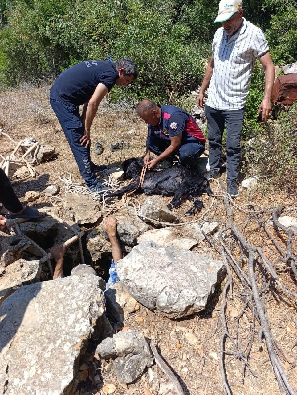 
Hatay’ın Yayladağı ilçesinde kullanılmayan su kuyusuna düşerek mahsur kalan keçi,