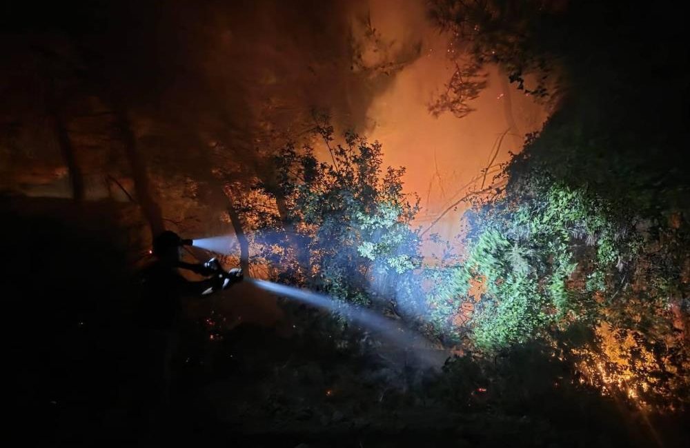 Hatay’ın Defne ilçesinde ormanlık alanda çıkan yangın, ekiplerin hızlı müdahalesi