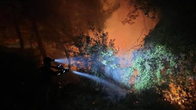 Hatay’ın Defne ilçesinde ormanlık alanda çıkan yangın, ekiplerin hızlı müdahalesi