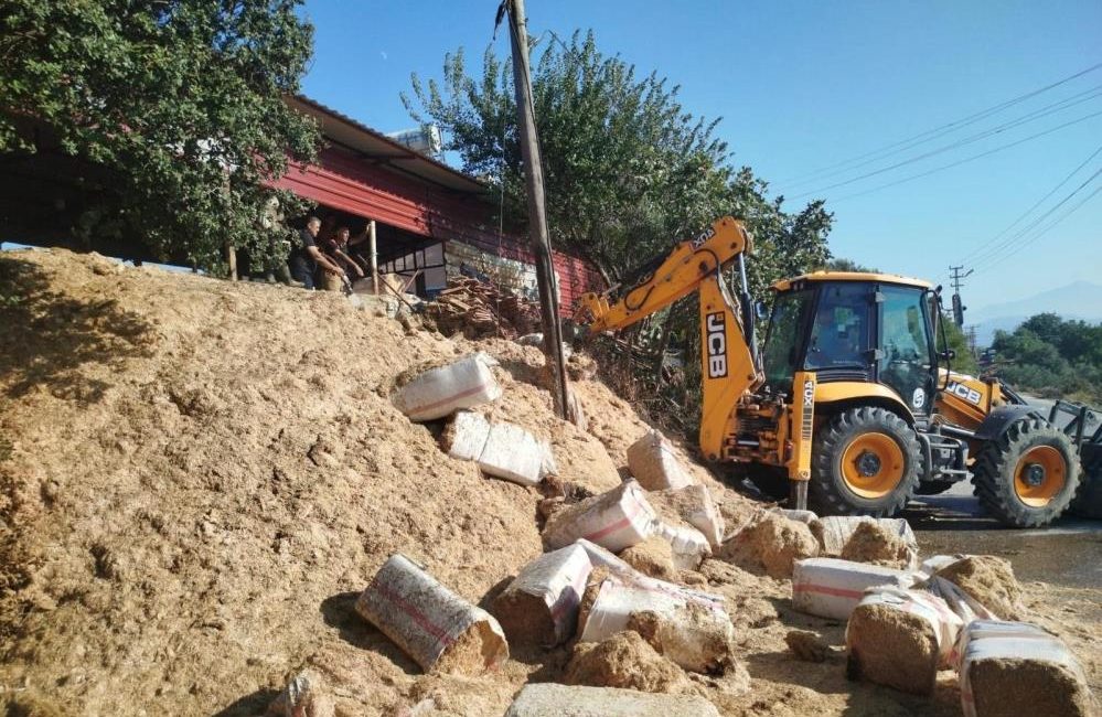 Hatay’ın Defne ilçesinde bir samanlıkta çıkan yangın, itfaiye ekiplerinin hızlı