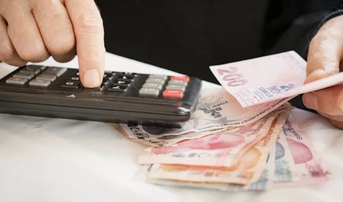 Emeklilikte Adalet Derneği (EMADDER), Çalışma ve Sosyal Güvenlik Bakanlığı ile