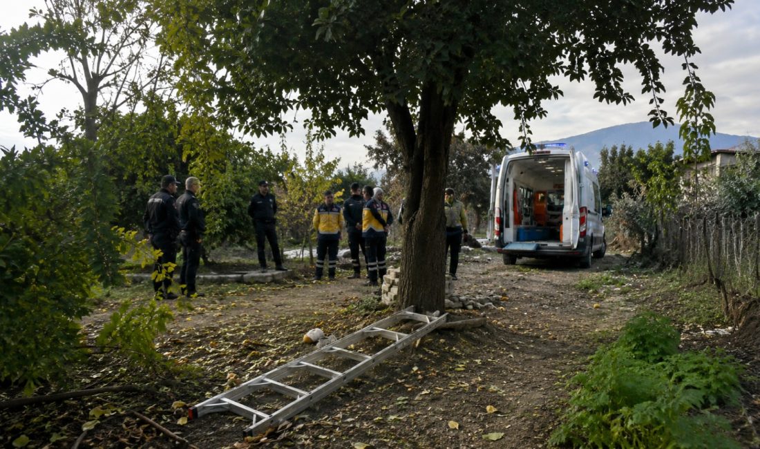 Hatay’ın Dörtyol ilçesinde 74 yaşındaki Mansur Kaya, ağaçtan düşmesi sonucu