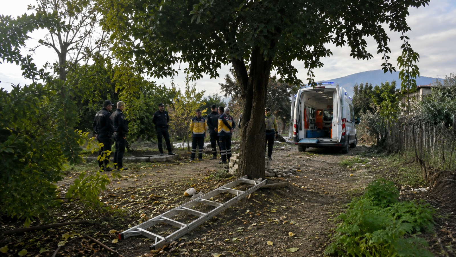 Hatay’ın Dörtyol ilçesinde 74 yaşındaki Mansur Kaya, ağaçtan düşmesi sonucu