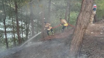 Hatay’ın Yayladağı ilçesinde ormanlık alanda çıkan yangın, ekiplerin hızlı ve