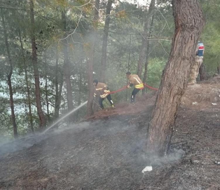 Hatay’ın Yayladağı ilçesinde ormanlık alanda çıkan yangın, ekiplerin hızlı ve