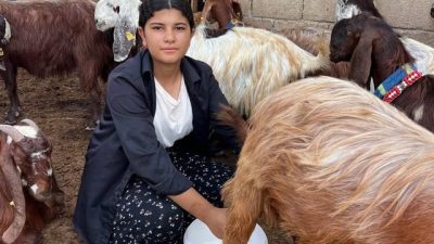 Hatay’ın Kumlu ilçesinde yaşayan 16 yaşındaki Esmanur Berköz, ailesine destek