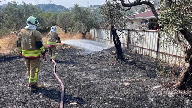 Hatay’ın Defne ilçesinde zeytinlik alanda çıkan yangın, itfaiye ekiplerinin zamanında