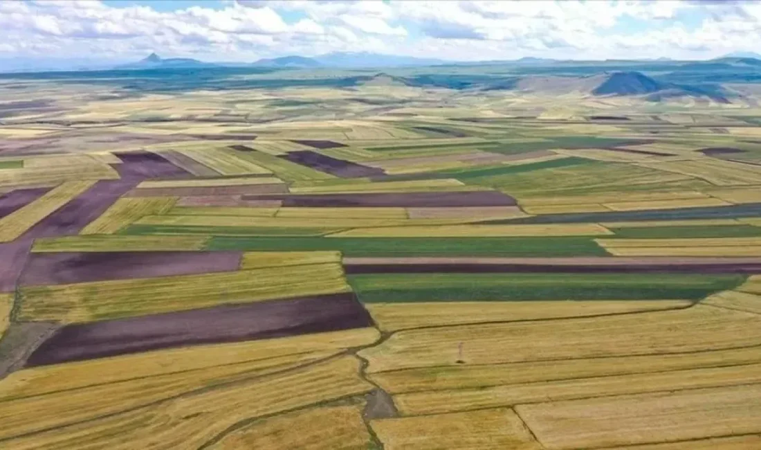 Tarım ve Orman Bakanlığı, üst üste iki yıl boyunca işlenmeyen