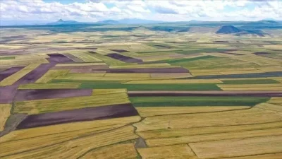 Tarım ve Orman Bakanlığı, üst üste iki yıl boyunca işlenmeyen