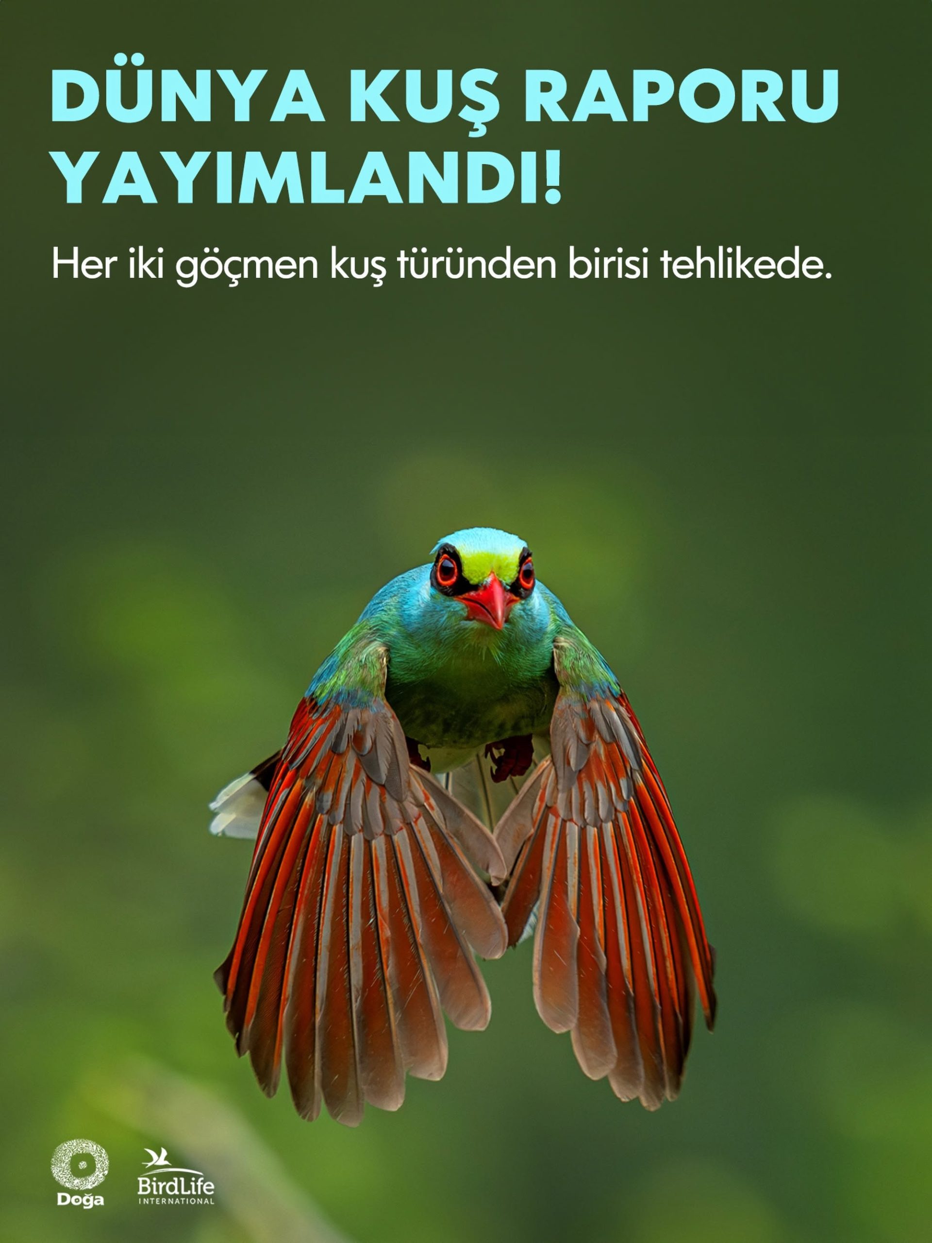 BirdLife International tarafından Kenya’da düzenlenen Küresel Göç Yolları Zirvesi’nde yayımlanan