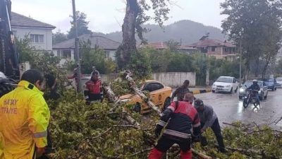 Hatay’ın Yayladağı ilçesinde etkili olan fırtına nedeniyle devrilen ağaç, park