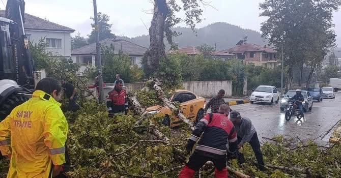 Hatay’ın Yayladağı ilçesinde etkili olan fırtına nedeniyle devrilen ağaç, park