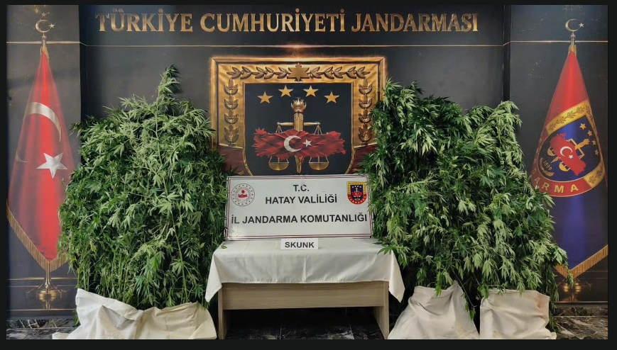 Hatay’ın İskenderun ilçesinde polis ekiplerinin bir eve düzenlediği operasyonda uyuşturucu