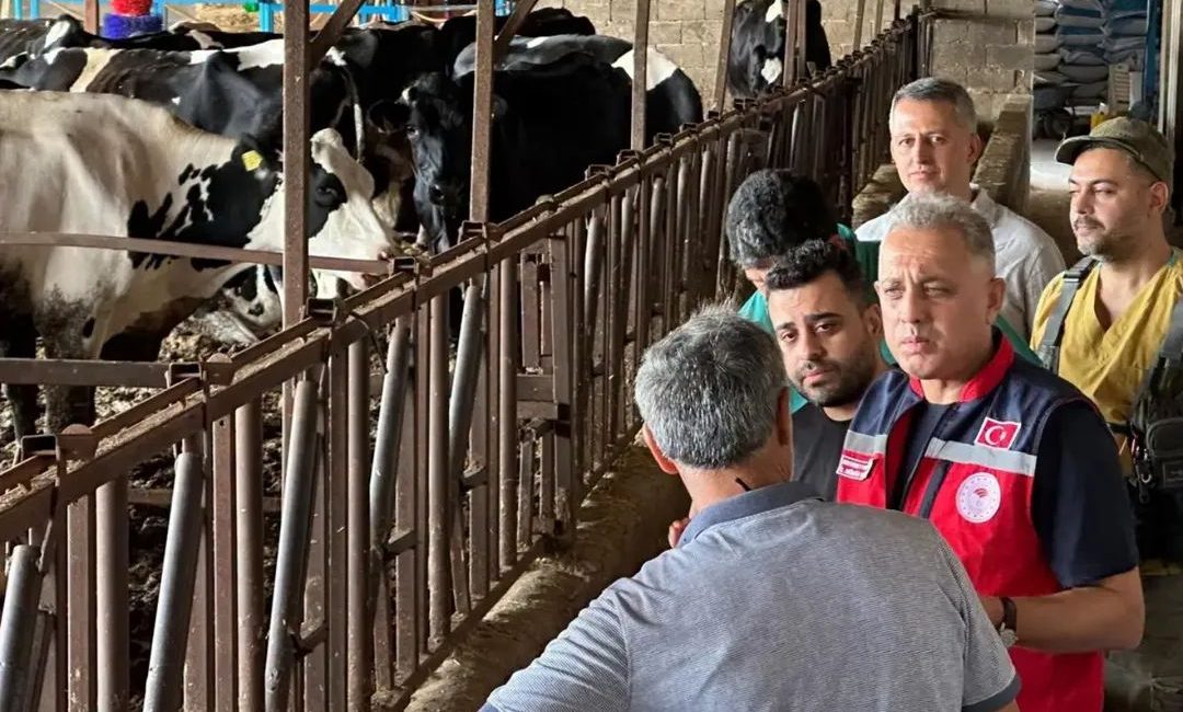 Altınözü’nde üreticilere “Hastalıktan Ari İşletme Modeli” hakkında bilgi verildi. Yeni