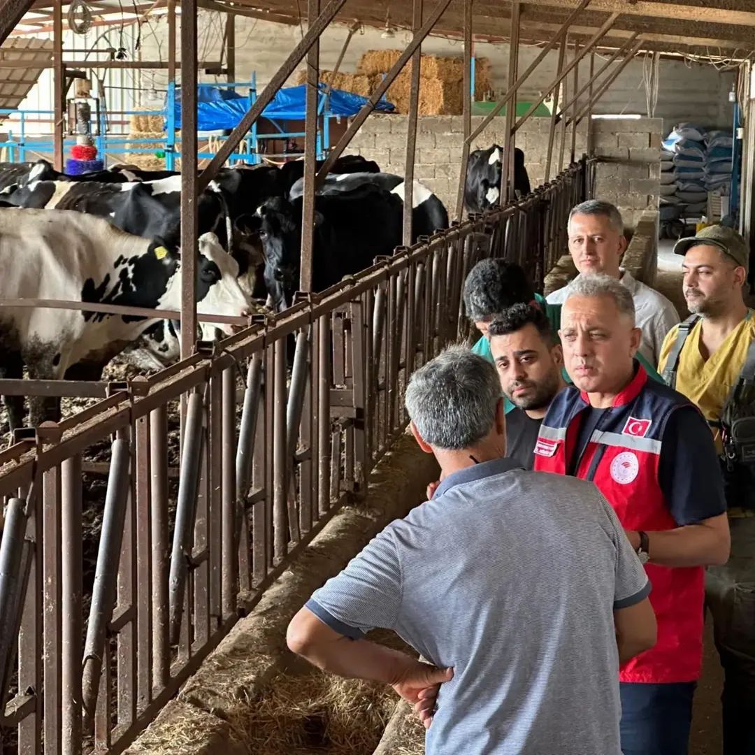 Altınözü’nde üreticilere “Hastalıktan Ari İşletme Modeli” hakkında bilgi verildi. Yeni