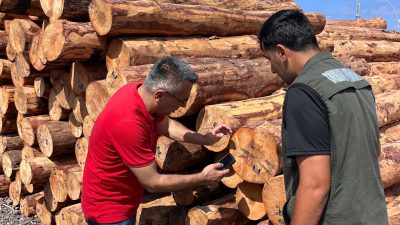 Hatay Orman Bölge Müdürü İlkay Günay, İskenderun Orman İşletme Müdürlüğü