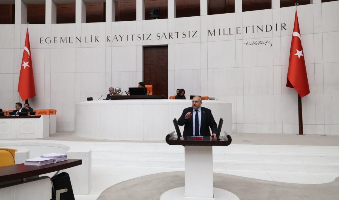 Saadet Partisi Hatay Milletvekili Doç. Dr. Necmettin Çalışkan, TBMM Genel