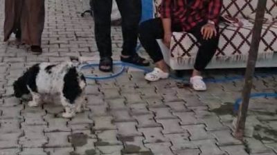 Hatay’ın Antakya ilçesinde ayrılma aşamasında olduğu dinî nikahlı eşinin kaldığı