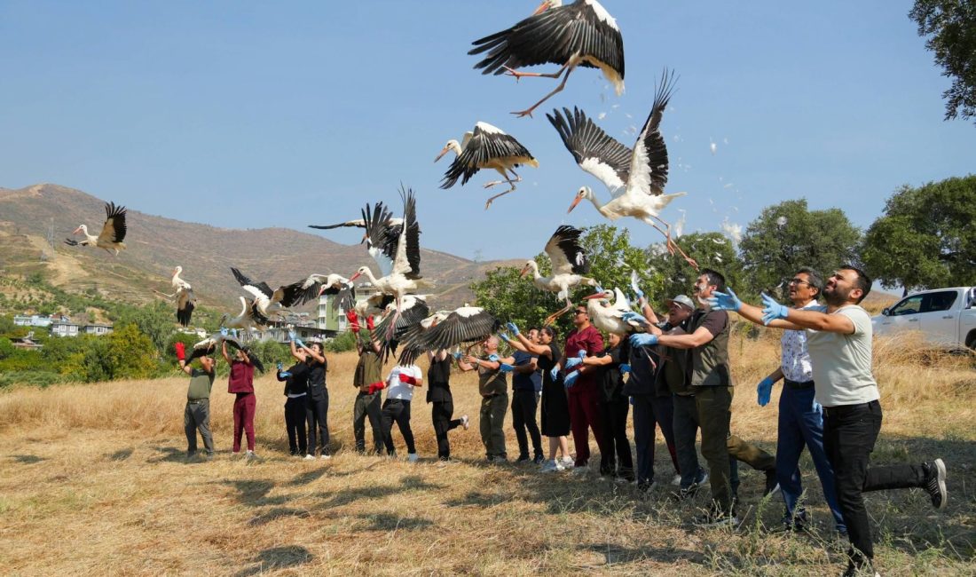 Avrupa-Afrika arasındaki göç yolunda yaralanan ve göç yorgunluğu yaşayan 21