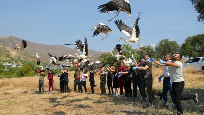 Avrupa-Afrika arasındaki göç yolunda yaralanan ve göç yorgunluğu yaşayan 21