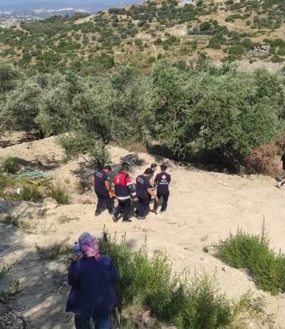 Hatay’ın Defne ilçesinde bahçesinde çalıştığı sırada ağaçtan düşen vatandaş yaralandı.