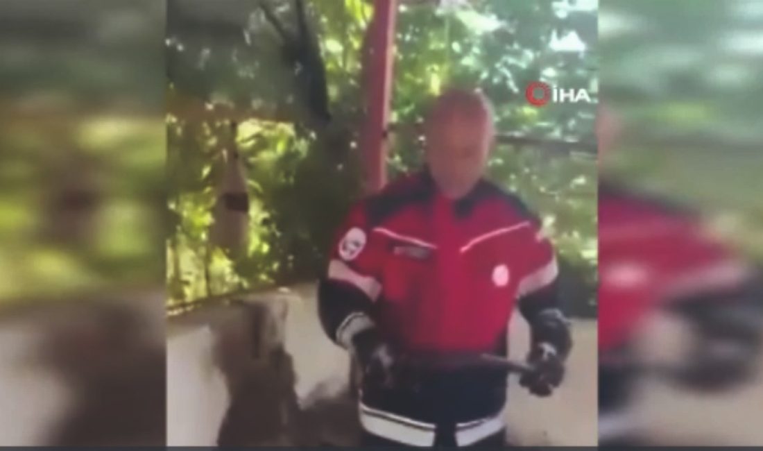 Hatay’ın Samandağ ilçesinde bir evin bahçesine giren yaklaşık 1,5 metre