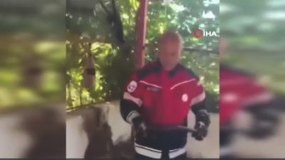 Hatay’ın Samandağ ilçesinde bir evin bahçesine giren yaklaşık 1,5 metre