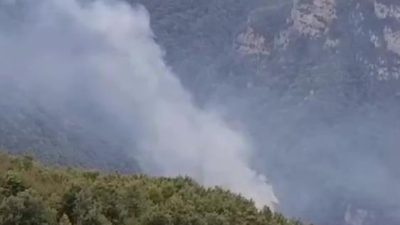 Hatay’ın Dörtyol ilçesinde ormanlık alanda çıkan yangın paniğe neden oldu.