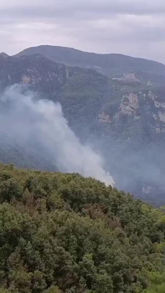 Hatay’ın Dörtyol ilçesinde ormanlık alanda çıkan yangın paniğe neden oldu.
