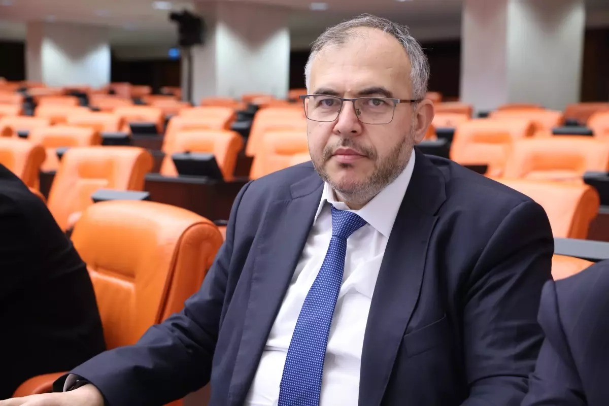 Saadet Partisi Hatay Milletvekili Doç. Dr. Necmettin Çalışkan, Asi Nehri