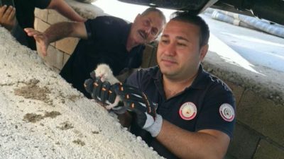 Hatay BB’ye bağlı İtfaiye daire başkanlığı bünyesindeki personel ile kurtarma