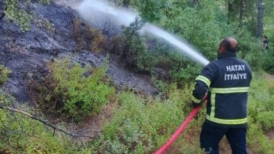 Hatay’ın Hassa ve Antakya ilçelerinde farklı noktalarda çıkan yangınlar, ekiplerin
