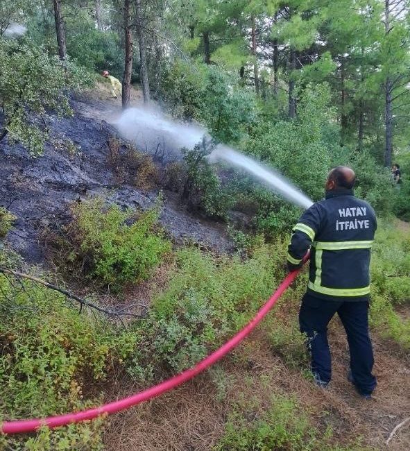 Hatay’ın Hassa ve Antakya ilçelerinde farklı noktalarda çıkan yangınlar, ekiplerin