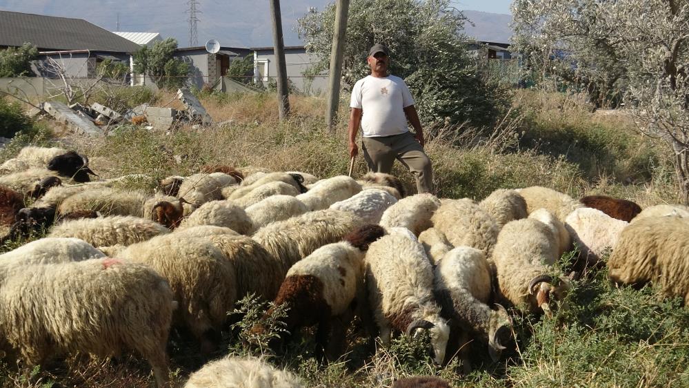 Hatay'da hava sıcaklığının etkisinin devam ettiği aylarda zor şartlarda çalışan