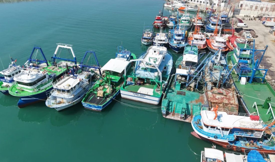 Akdeniz’de av yasağının 16 Eylül’de sona erecek olmasıyla birlikte Hatay’ın