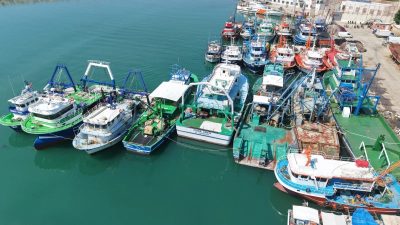 Akdeniz’de av yasağının 16 Eylül’de sona erecek olmasıyla birlikte Hatay’ın
