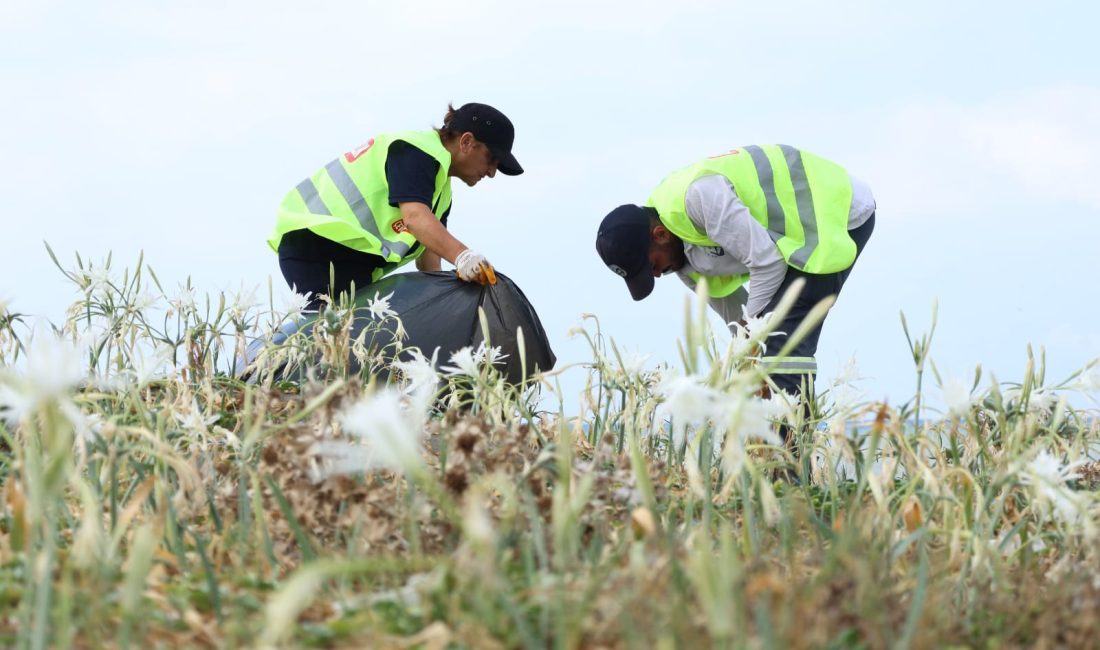Hatay Büyükşehir Belediyesi (HBB), deniz ve sahillerde yürüttüğü temizlik çalışmalarıyla