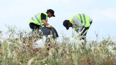 Hatay Büyükşehir Belediyesi (HBB), deniz ve sahillerde yürüttüğü temizlik çalışmalarıyla